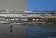 Artificial intelligence coloring of old pictures