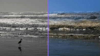 Artificial intelligence coloring of old pictures